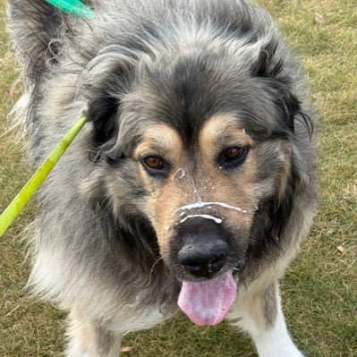 Mellypaw21's profile picture. Voters are dumb. We could easily enrich a commoner but instead, we whine about term limits & continue to enrich the professional politician