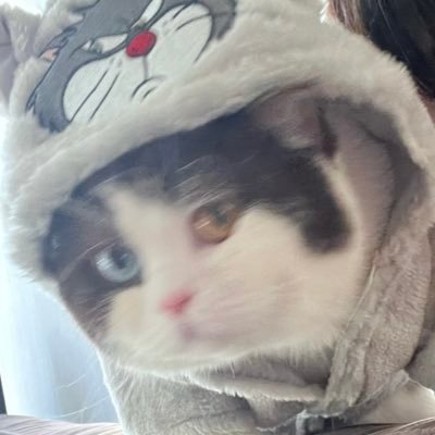 𝐏𝐏 🧛🏻👻さんのプロフィール画像