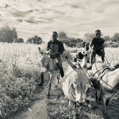 Abraham3255986's profile picture. Christians are called to demonstrate their love for God not just with words but with actions, including generosity towards those in need ✝️🕊️🤍