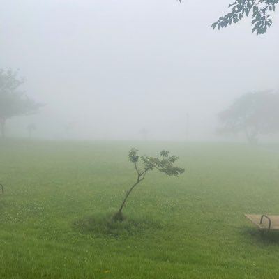 jpntgGljtltui's profile picture. 横浜愛