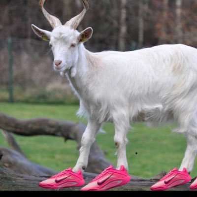 Forevea_Alicia's profile picture. Memphis Made. TennState Alum 💙 SAI Rose 🌹 The Big & Fancy Friend 💁🏾‍♀️ #HereWeGo #Grizznation