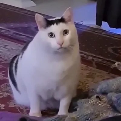 stevenc02345391's profile picture. 閒暇之餘的心情剪貼