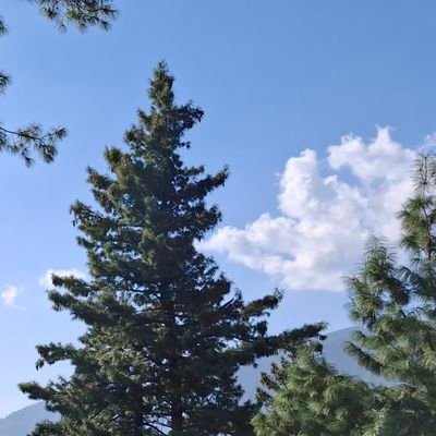 steven16790's profile picture. 