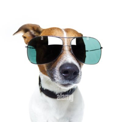 X40Me99TiU11321's profile picture. https://t.co/3fiTx21CKk もう凍結しないで