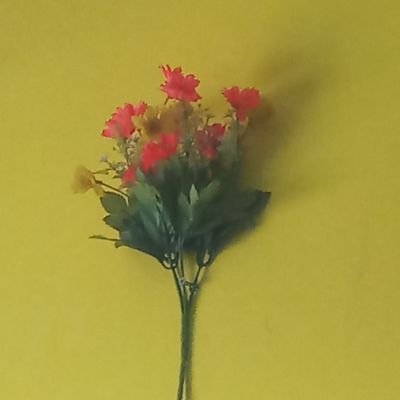 BinduDhima75309's profile picture. 