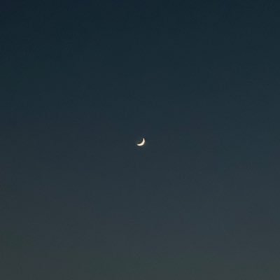 icosw0's profile picture. 