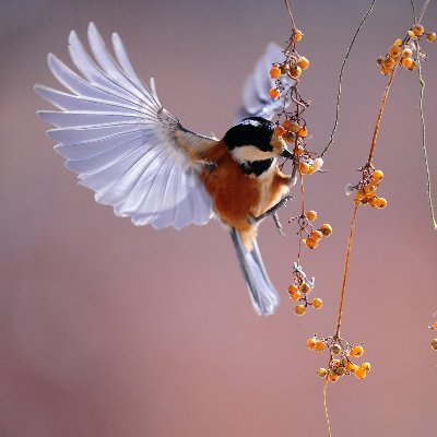 MuopN38935's profile picture. 
