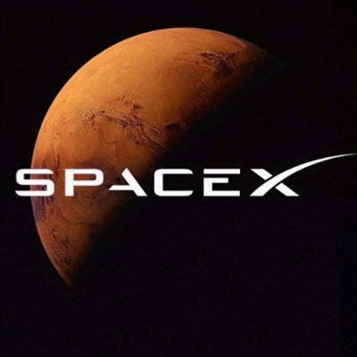 ElonMuskNews271's profile picture. 