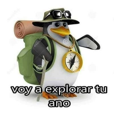 puercopollo12's profile picture. 