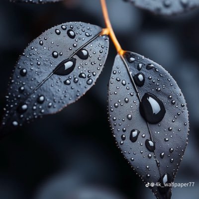 MeMe201070's profile picture. ..لانستطيع ان نختار من نحب ولكن نستطيع ان نختار متى نبتعد ..