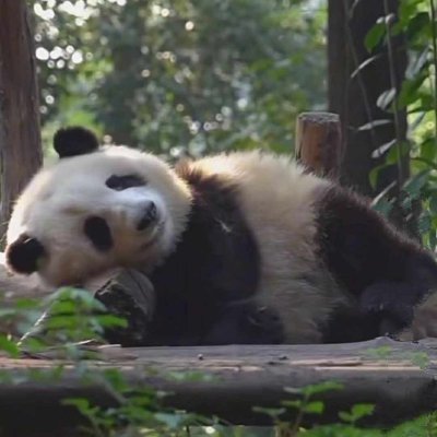 esMediodia15's profile picture. 
