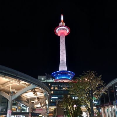 emptylife2023's profile picture. 政治、経済、音楽、小説、家族、猫科。