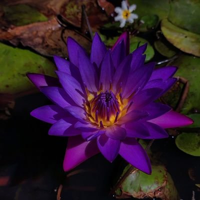 kannika_628's profile picture. 
