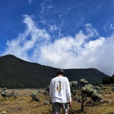 GrazieYareu's profile picture. be gamble not gamble