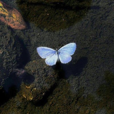 rsmm95's profile picture. أنا في أمان الله وهذا أثمن شعُور ♡