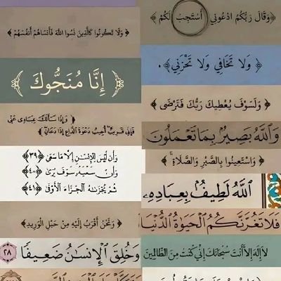 yasyn74380's profile picture. الحقيقة توجع