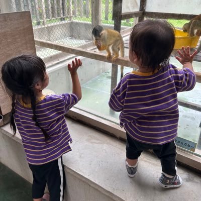 haru_1215_0501's profile picture. 某デザインスクール入って学んで、これはデザイナーになれるのか?!めちゃ営業されるし、、 営業聞いて思ったこと実際に受けた人に聞いた話とかを出してく。 本垢では某スクールわかっちゃうので別垢(ここで)でこぼす。ただのぶっちゃけアカウント。