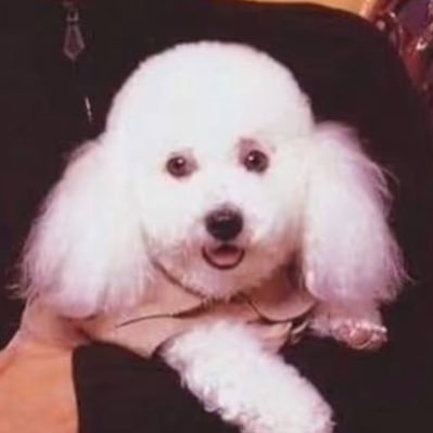 NWSTFDMK's profile picture. 😘แก้มน่ารัก ตุวหอม รัก นน 👧🏻💜 มั่นคงและภักดีเสมอ🙏 รับรู้ทุกกระแสแต่เลือกแล้วว่า “อยู่ข้างสถาบันกษัตริย์”🙇‍♀️ #วิดวะการบิน #Aircraft #Military
