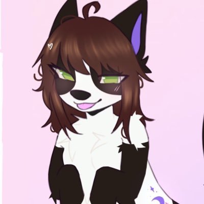pupcakefur's profile picture. just a border collie fur ໒꒱ | 8-teen 🌙 🎀 | MDNI🔞 | she/her ♡ puppy girl 4ever 🐾