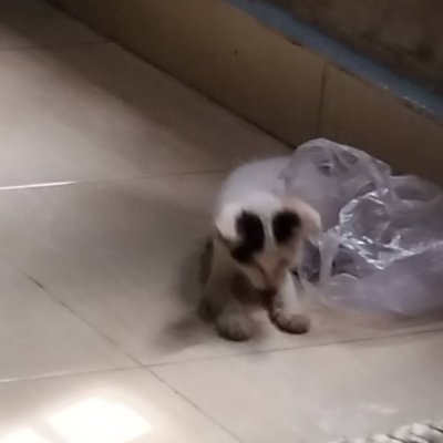 Qll107455's profile picture. Look