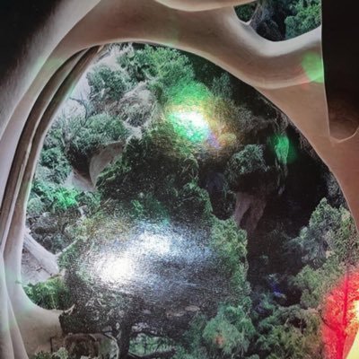 MandebsenM's profile picture. 