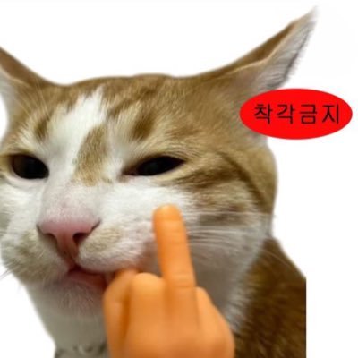 lekwondoje188's profile picture. 여자 옆에 여자만이 있어야 그림을 완성한다 @salamiborgor