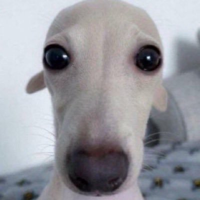 inggasye's profile picture. 