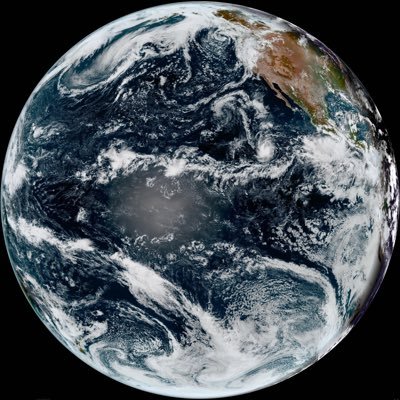 ItHertzWhenIP1's profile picture. Crypto Black Friday survivor