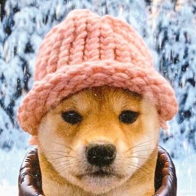 boholives's profile picture. WIF convert