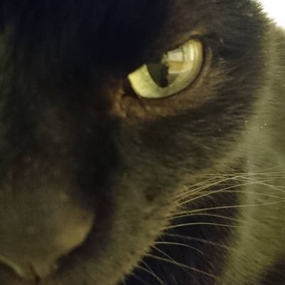 Jp3v9j's profile picture. 今までありがとう！