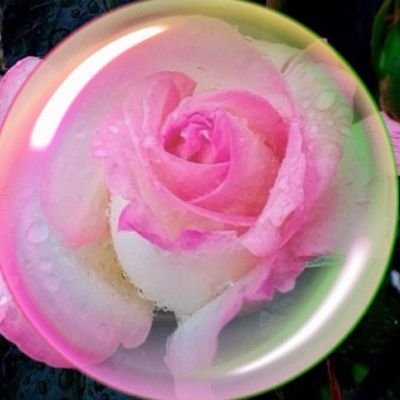 Mahc_CHANEL's profile picture. Tiny elephant ᵃⁿᵈ CryBabeisᵃⁿᵈ Måtwt/
ゆる推しいっぱい洋楽好き/Britney Spearsと同い年/持病を克服してLIVE参戦するのが将来の夢/
@Cham_Chanel (←凍結しました)

ꕤ୭*Pink goes good with greenꕤ୭*