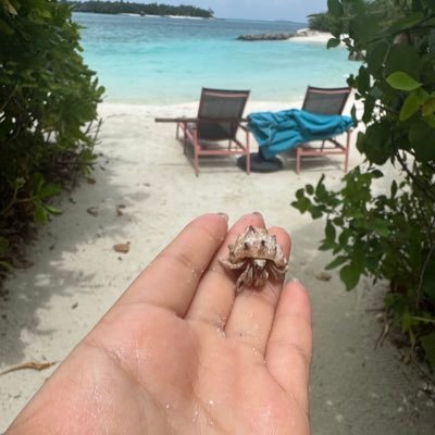 wngxn132900's profile picture. 