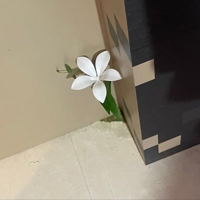 C12O11_8888's profile picture. 