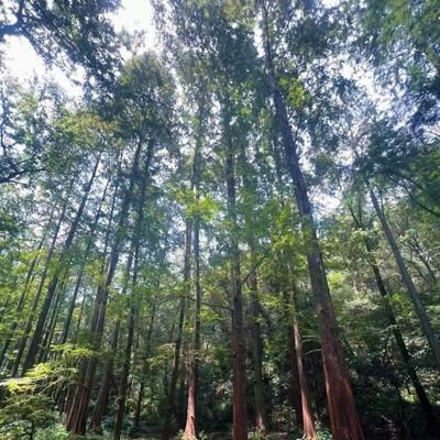 pray_always01's profile picture. I learnt crypto through reading comments