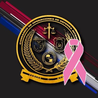 CODI_FTC's profile picture. El CODI es un Comando Operacional que tiene como misión el empleo de elementos de combate de las FFAA, en la lucha contra el terrorismo y el crimen organizado.