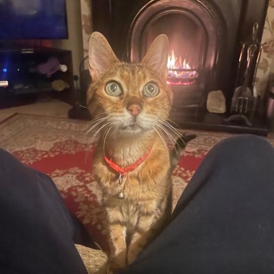 JohnMcg40893416's profile picture. twitter isn’t real life