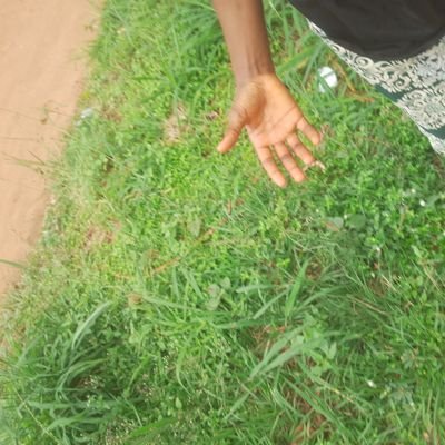 CCypher68871's profile picture. Web3 lover & tech explorer💻. Football runs in my veins⚽, code runs in my mind.