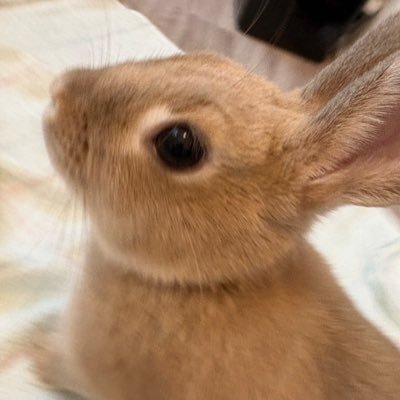 tpsena_pin's profile picture. 雲丹太郎です。