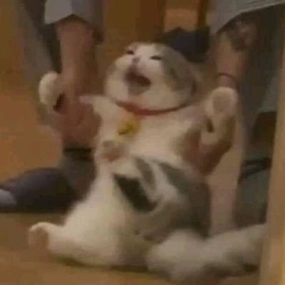 123mahoukakette's profile picture. multifandom | ENG/日本語🆗