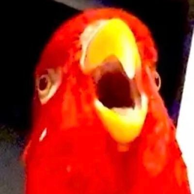 DrSchaug's profile picture. 💉Anesthésiste (Recherche en ALR), co-fondateur de l’asso EconoMind pour la vulgarisation et l’initiation financière