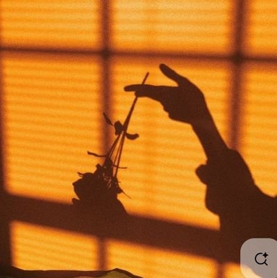 YuzuPlum's profile picture. 'Orange Blossom' 🍊