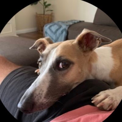 trade4a__livin's profile picture. Day Trading ASX equities. Inspired by the success of others and carving out my edge. Iress & Spark are my tools of trade. Always learning. Letz Goooo...