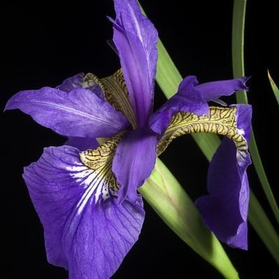 nozomi790992707's profile picture. Nice to meet you.