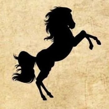 vishalsingh9596's profile picture. 