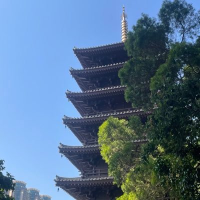 gmaidata's profile picture. data analyst