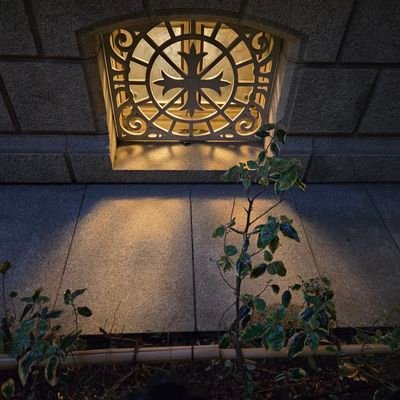 marii9102's profile picture. 