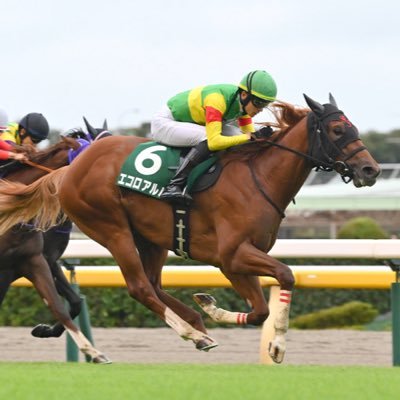 frn856's profile picture. 競馬垢/初心者/マスカレードボール・エコロアルバ・ジョスランを応援してます