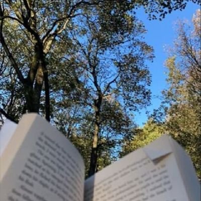 sysyplays_by's profile picture. gaming hacks,aesthetic vibz,fun games,cozy,|r3ading