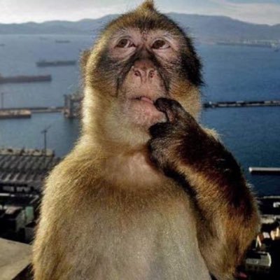 Ashley06518623's profile picture. 