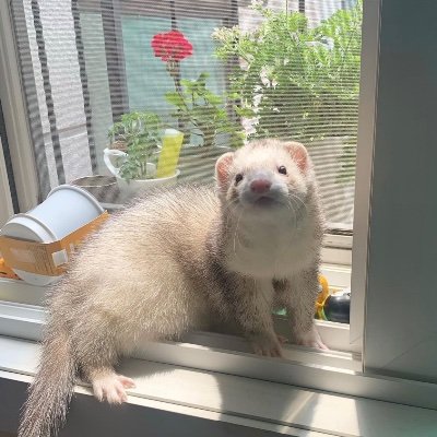 sweepy_swoop77's profile picture. ㅇㅅㅅㅇ / 지쳤다 XP / 2n